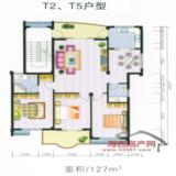 T2/T5户型