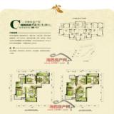二号楼标准户型