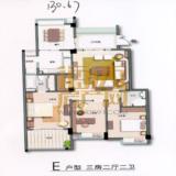 E户型