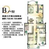 B户型