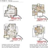 510独栋户型