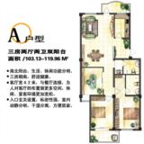A户型
