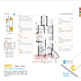 8栋04单元C户型125.25平