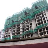 2010年7月8日领江十栋工程进度