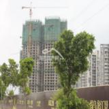 2010年7月29日领江十栋工程进度