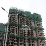 2010年7月29日领江十栋工程进度