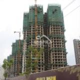 2010年7月29日领江十栋工程进度