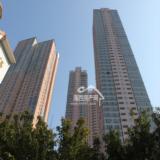 2010年3月10日世茂天城项目实景