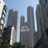 2010年3月10日世茂天城项目实景