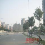 3月26日项目实景图