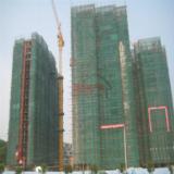 6月5日项目实景图