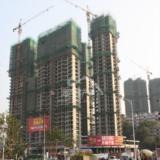 2010年1月12日实拍御园项目进度