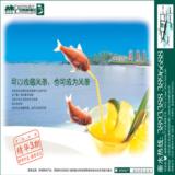 海报