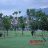 项目实景图