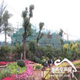 2月7日三盛托斯卡纳项目实景 