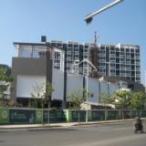 大儒世家公馆10月21日项目实景