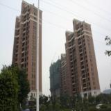 2010年1月9日中庚城项目实景