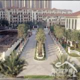 公园道一号项目实景图