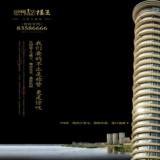 09年11月27日东南快报广告