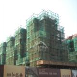 09年11月25日融晟红郡项目实景