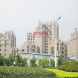 09年8月4日英泰第一城项目实景图