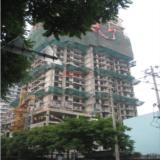 6月5日项目实景图