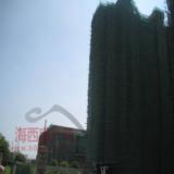 2008年7月16日心巢项目实景