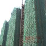 2008年7月16日心巢项目实景