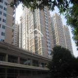 08年11月20日项目实景图