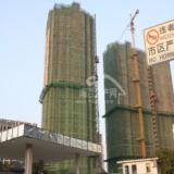2010年1月12日阳光乌山栄域项目进度
