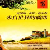 来自世界的橘郡