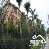 12月12日实景拍摄