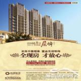 3月19日海峡都市报广告