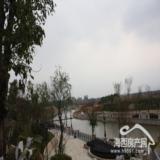 2010年1月17日融侨旗山别墅实景拍摄