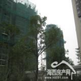 12月27日海润尊品实景拍摄